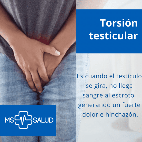 torsion testicular