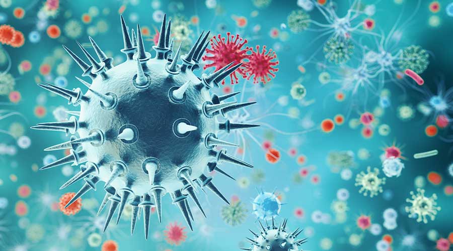 mexico creacion moleculas virus influenza